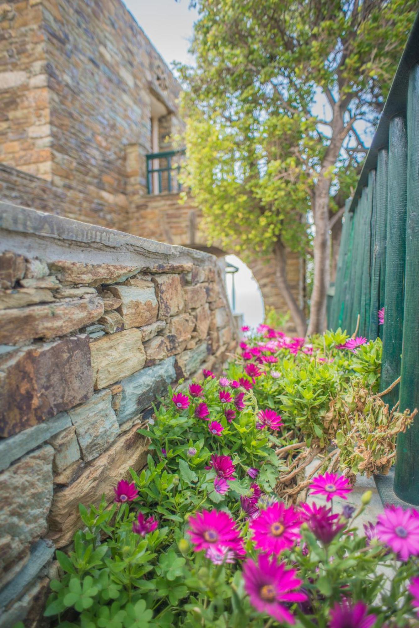 Althea Archontika Tis Androu Apartman Bací Kültér fotó